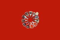 齐齐哈尔市富裕县回收红酒